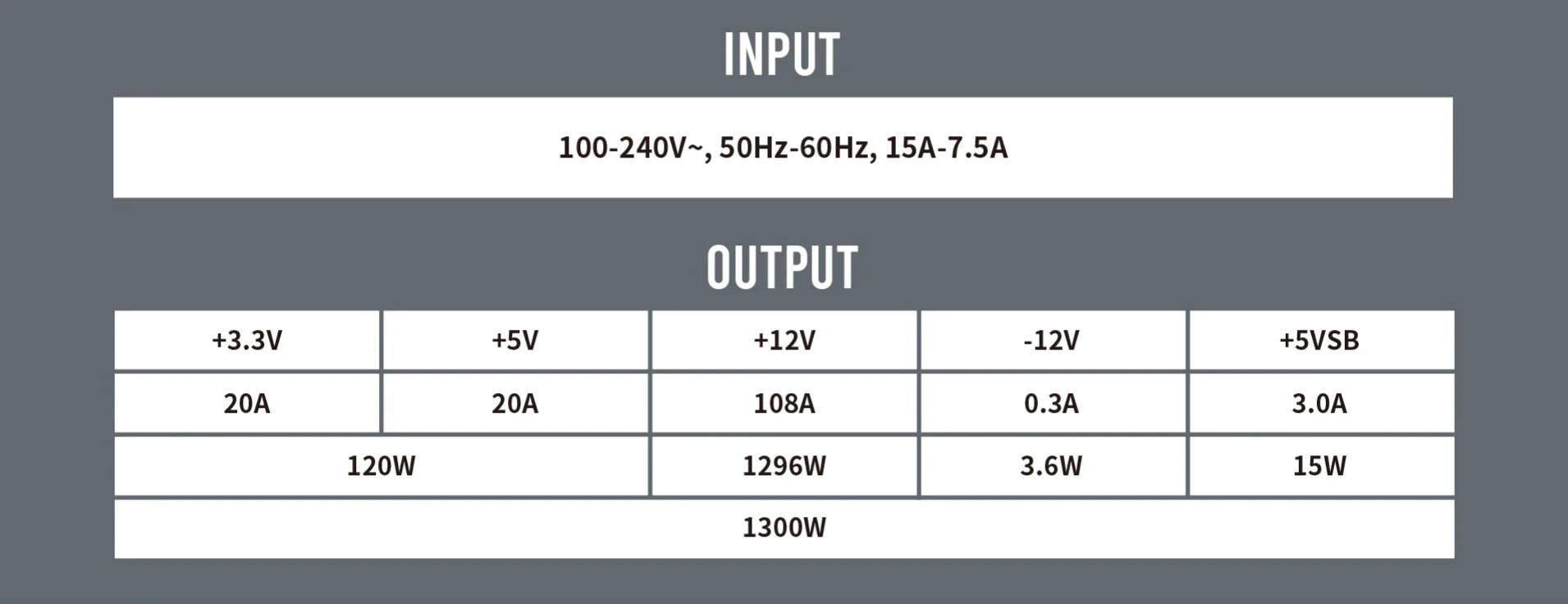 NE1300G Input and output